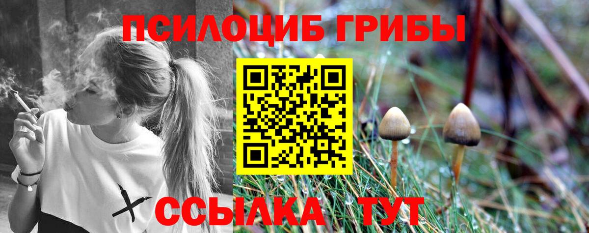 Псилоцибиновые грибы прущие грибы Чусовой